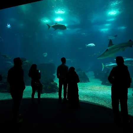 아파트 Martinhal Oriente *