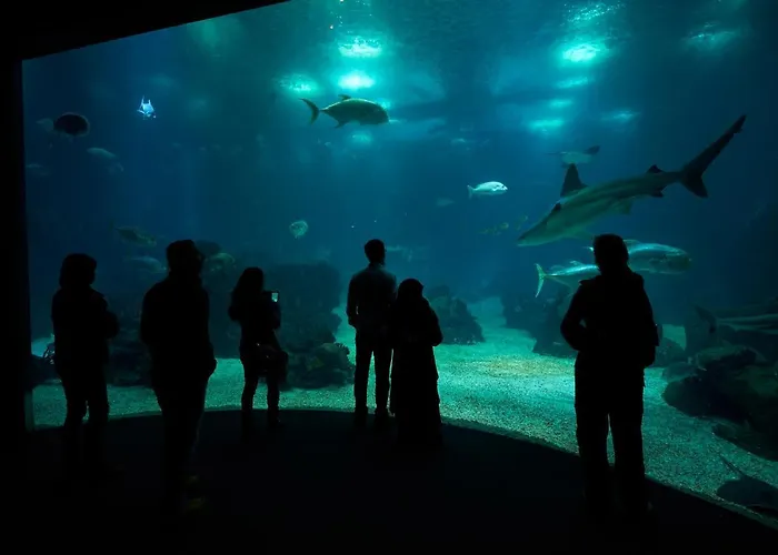 Apartamento Martinhal Oriente *